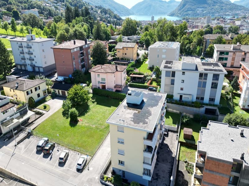residential area with multiple houses, green grass, trees, parking spaces, mountain and lake view