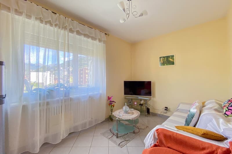 white curtains, tv, center table, sofa, decorative pillow, radiator, carpet
