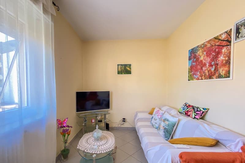 Cozy sofa, large glass window, coffee table, TV, glass vase with flowers, beige walls, floored in tiles
