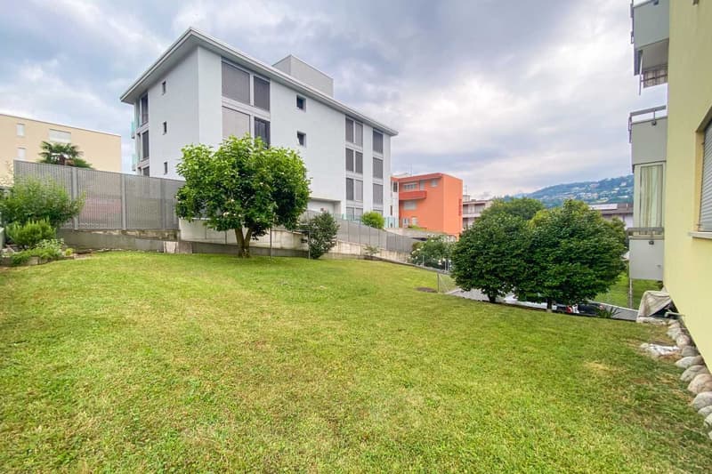 lawn, a few trees, shrubs, and plants, metal fence, rocks on one side, buildings in the background