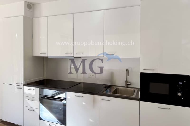 Modern kitchen with white cabinetry, black countertops, stainless steel sink, microwave, dishwasher, and built-in appliances.
