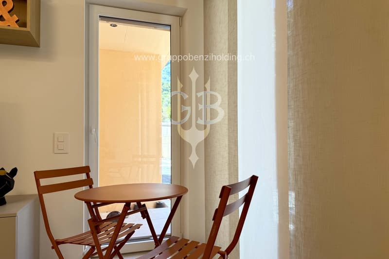 DIRETTAMENTE DAL PROMOTORE - Giubiasco - 1,5 locali con giardino (19)