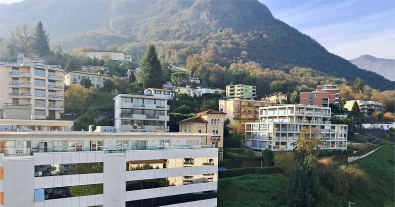 Appartamento di 2.5 locali all'ultimo piano con vista aperta (12)