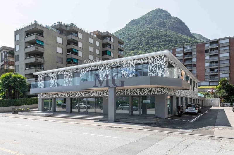 Nuovo appartamento 3,5 locali fronte lago (14)
