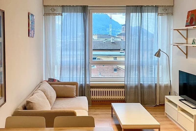 Appartamento a reddito di 2,5 locali vicino all'università di Lugano (4)
