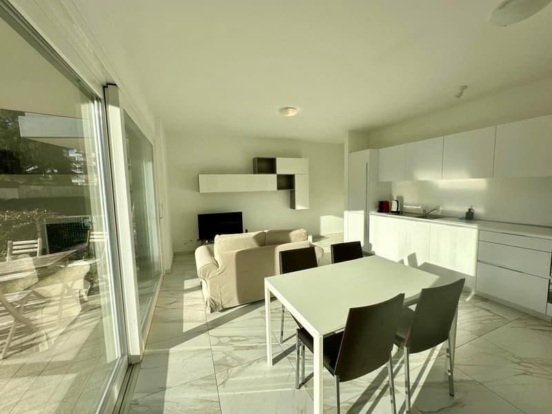 ZONA VIGANELLO - 2.5 IN AFFITTO ARREDATO CON GIARDINO PRIVATO (5)