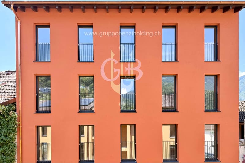 DIRETTAMENTE DAL PROMOTORE - Giubiasco - 1,5 locali con giardino (18)