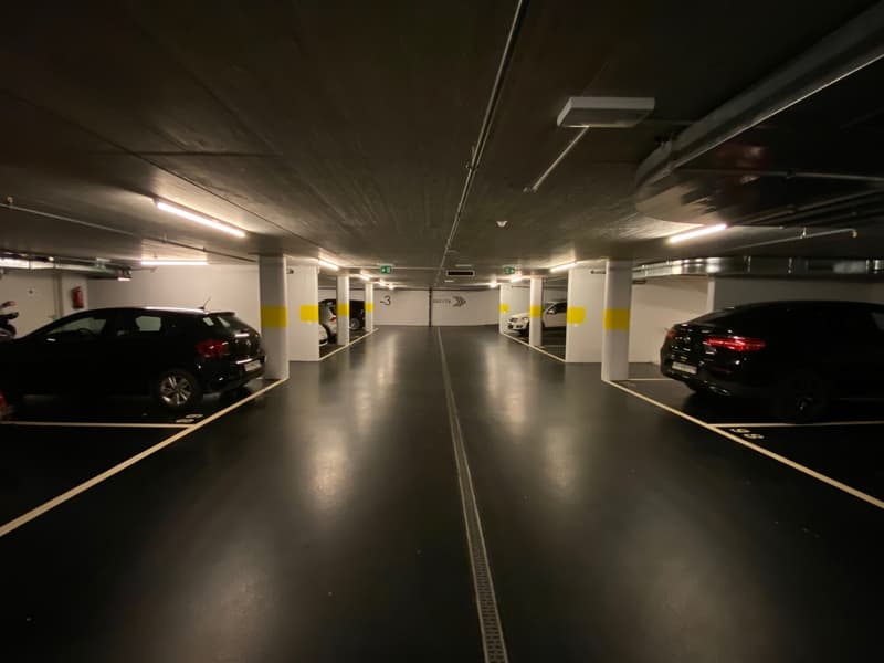 ELEGANTE 3.5 LOCALI ARREDATO CON PARCHEGGIO PRIVATO (13)