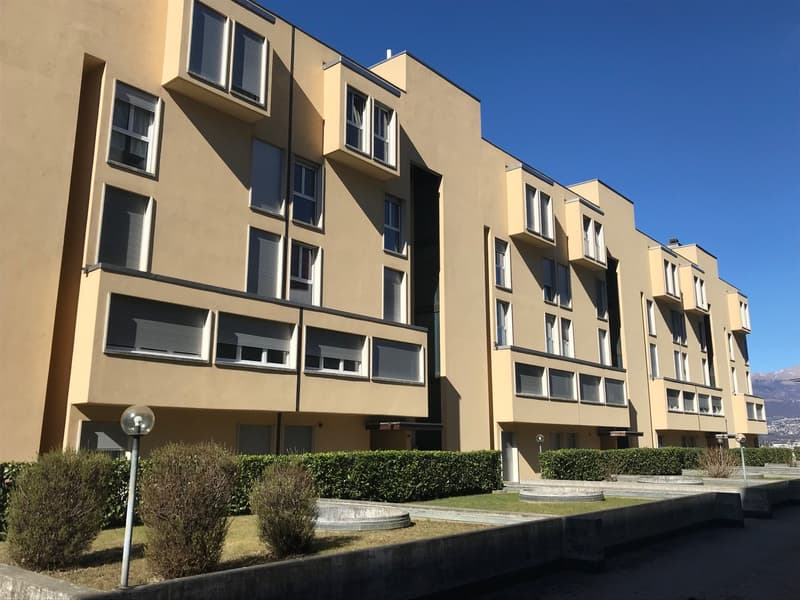 Rinnovato appartamento di 1,5 locali in zona tranquilla (6)