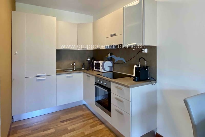 Rinnovato appartamento di 1,5 locali in zona tranquilla (2)