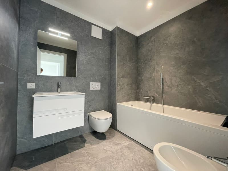 Attico di lusso con terrazza e jacuzzi a Massagno – Disponibile subito (24)