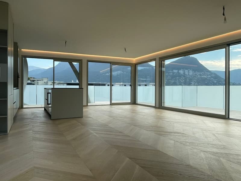 Attico di lusso con terrazza e jacuzzi a Massagno – Disponibile subito (11)