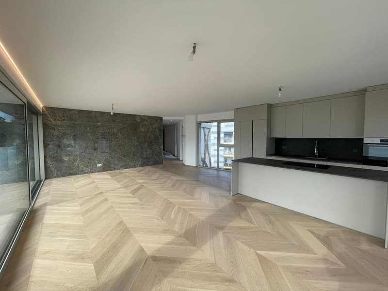 Attico di lusso con terrazza e jacuzzi a Massagno – Disponibile subito (20)