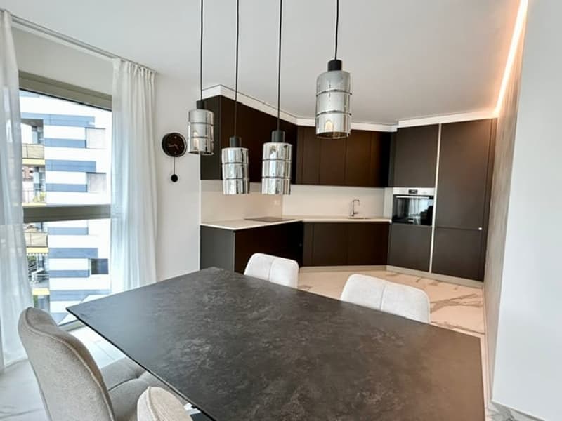 Elegante appartamento con terrazza rooftop a Massagno – Disponibile subito (23)