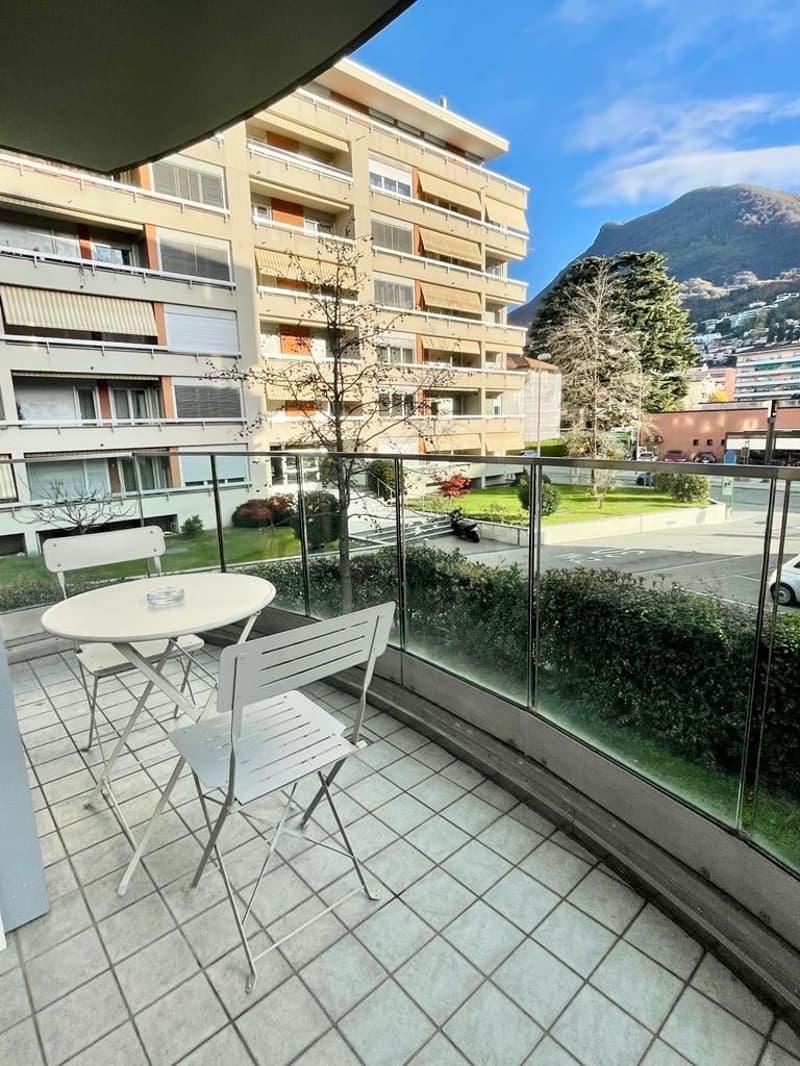 ZONA CASSARATE - 3.5 LOCALI ARREDATO (12)