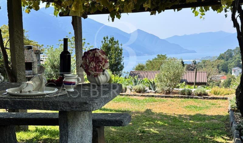 Reben. Garten. Lago. (3)