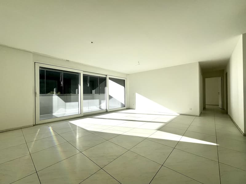 RIVERA - AFFITTASI 4.5 LOCALI CON TERRAZZA VETRATA (3)