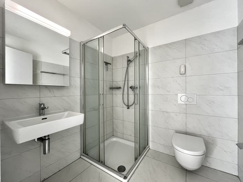 RIVERA - AFFITTASI 4.5 LOCALI CON TERRAZZA VETRATA (9)
