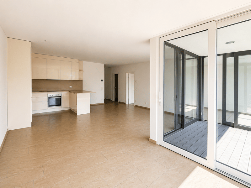 BELLINZONA - AFFITTASI SOLEGGIATO 2.5 LOCALI CON TERRAZZA (2)