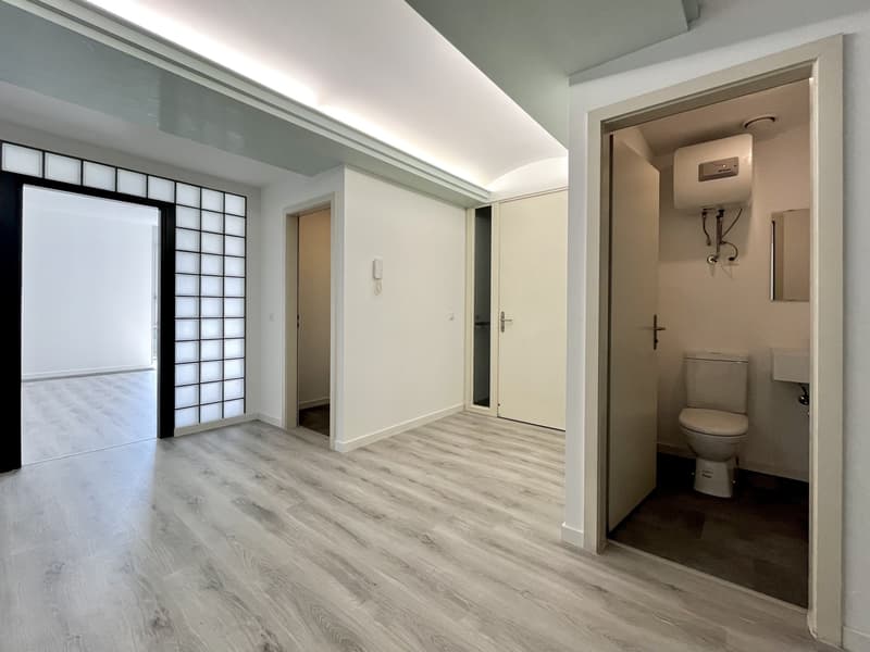LUGANO - AFFITTASI SPAZIOSO UFFICIO VISTA LAGO DI 217 MQ (7)