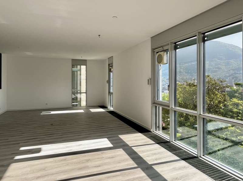 LUGANO - AFFITTASI SPAZIOSO UFFICIO VISTA LAGO DI 217 MQ (3)