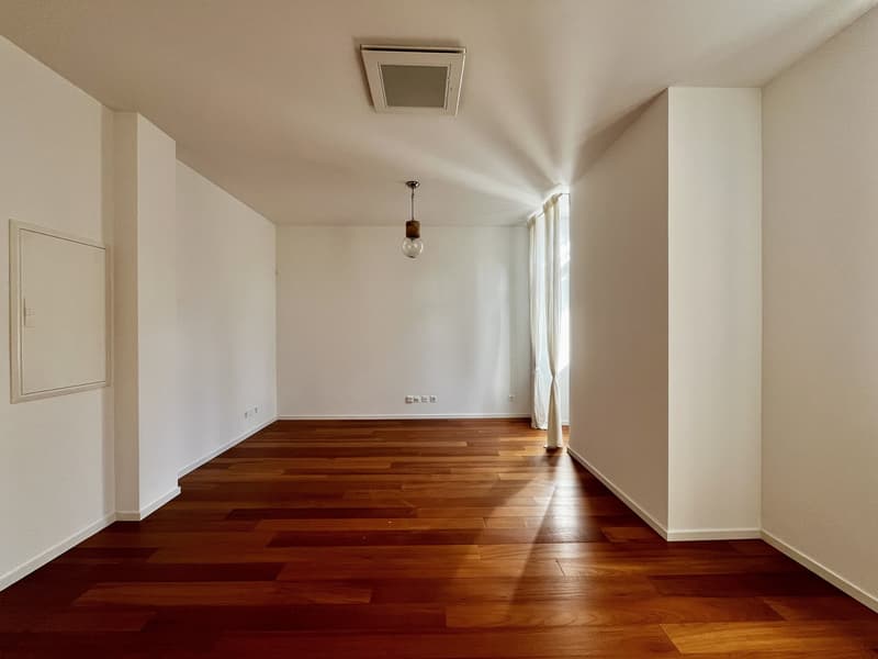 LUGANO - VENDESI AMPIO ED ESCLUSIVO 2.5 LOCALI (4)