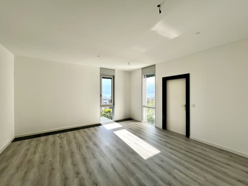 LUGANO - AFFITTASI SPAZIOSO UFFICIO VISTA LAGO DI 217 MQ (6)