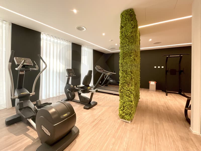 MASSAGNO - AFFITTASI LUSSUOSI 2.5 LOCALI ARREDATI (6)
