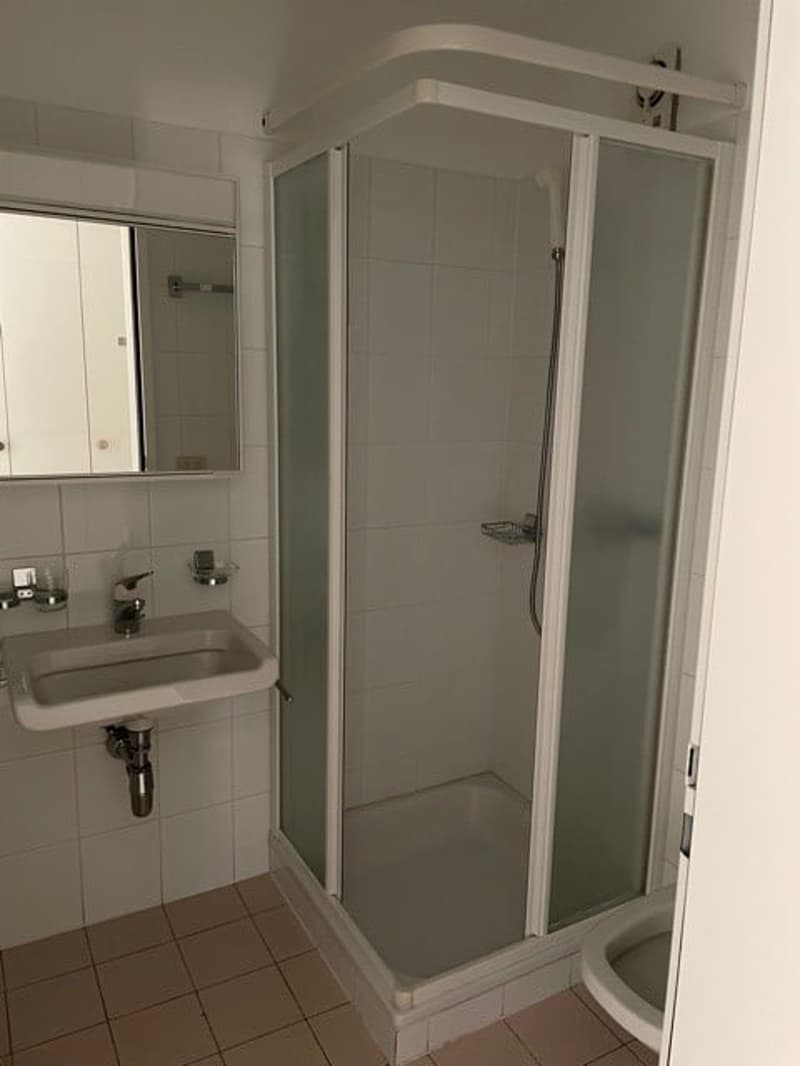 Affittasi appartamento 4.5 locali a Gordola (13)
