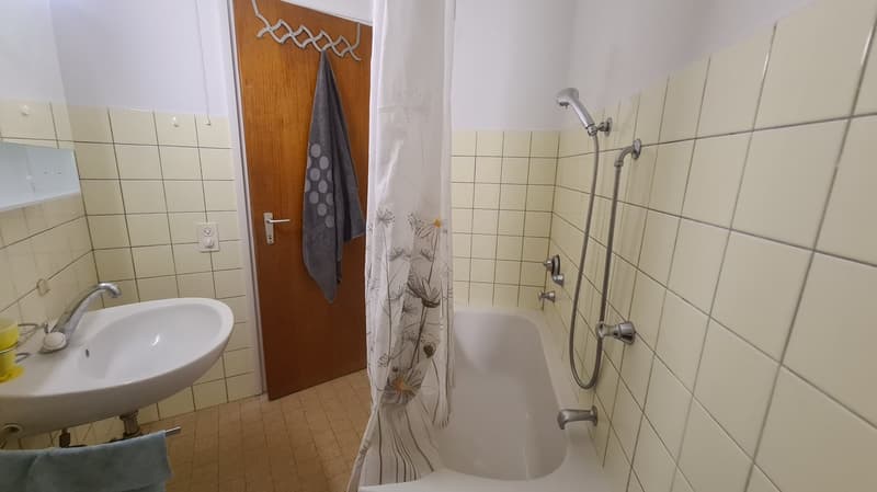 Casa Tiziana, 2,5 locali a Ascona (10)