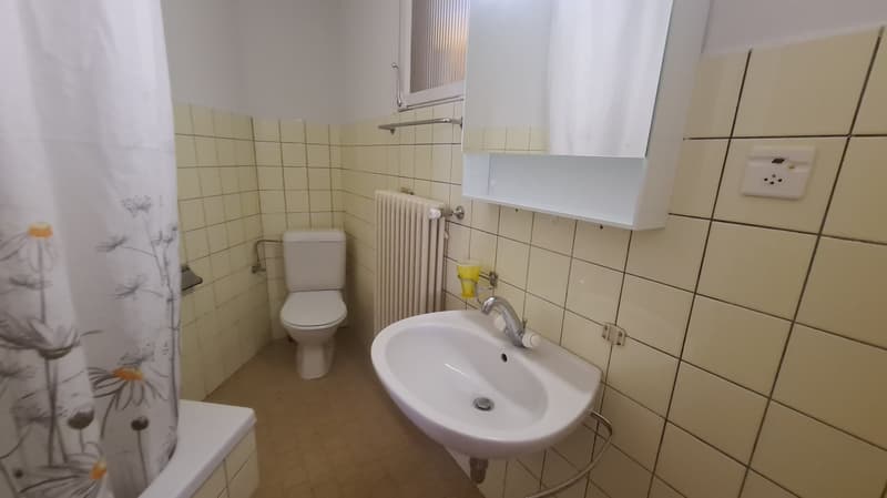Casa Tiziana, 2,5 locali a Ascona (9)