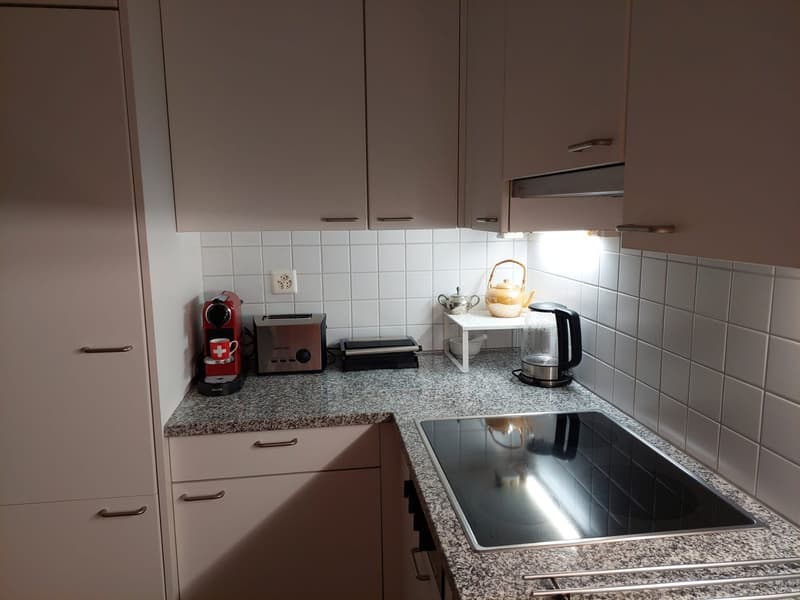 2.5 locali a Brissago (7)