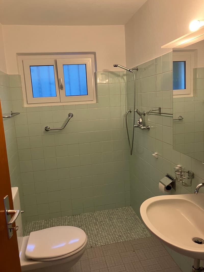 Affittasi casa di 2 appartamenti a Monte Brè (11)