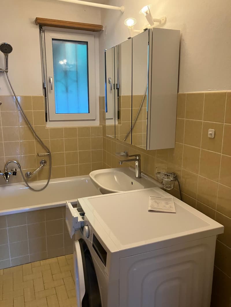 Affittasi casa di 2 appartamenti a Monte Brè (17)