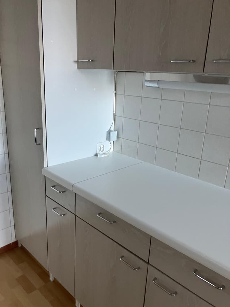 Affittasi casa di 2 appartamenti a Monte Brè (10)