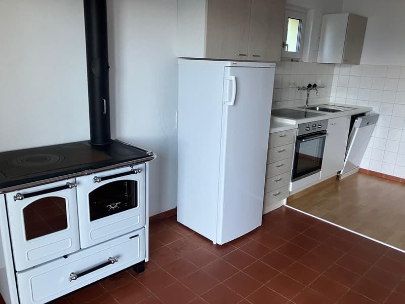 Affittasi casa di 2 appartamenti a Monte Brè (9)