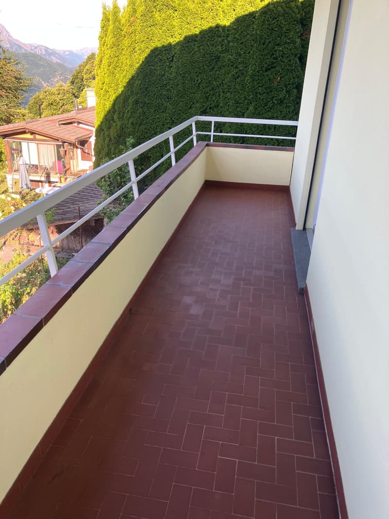 Affittasi casa di 2 appartamenti a Monte Brè (18)