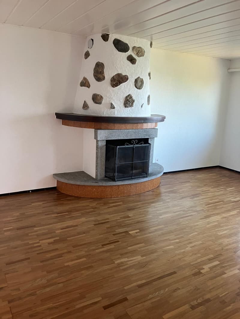 Affittasi casa di 2 appartamenti a Monte Brè (13)