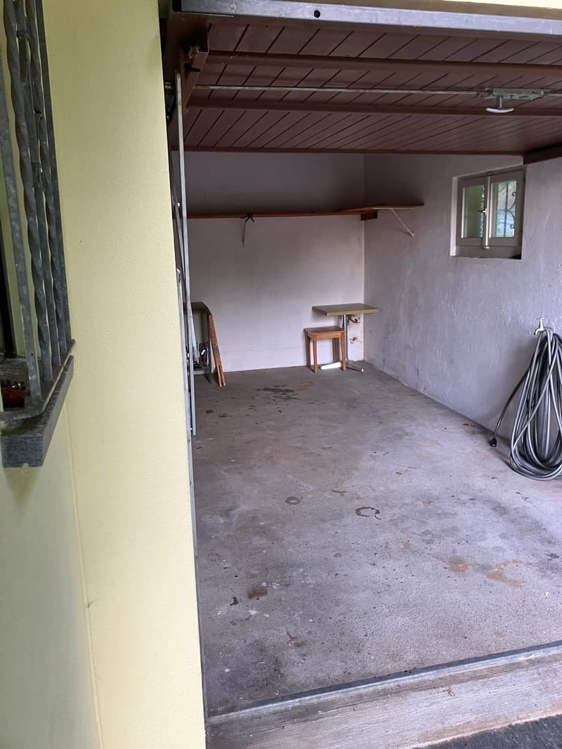 Affittasi casa di 2 appartamenti a Monte Brè (20)