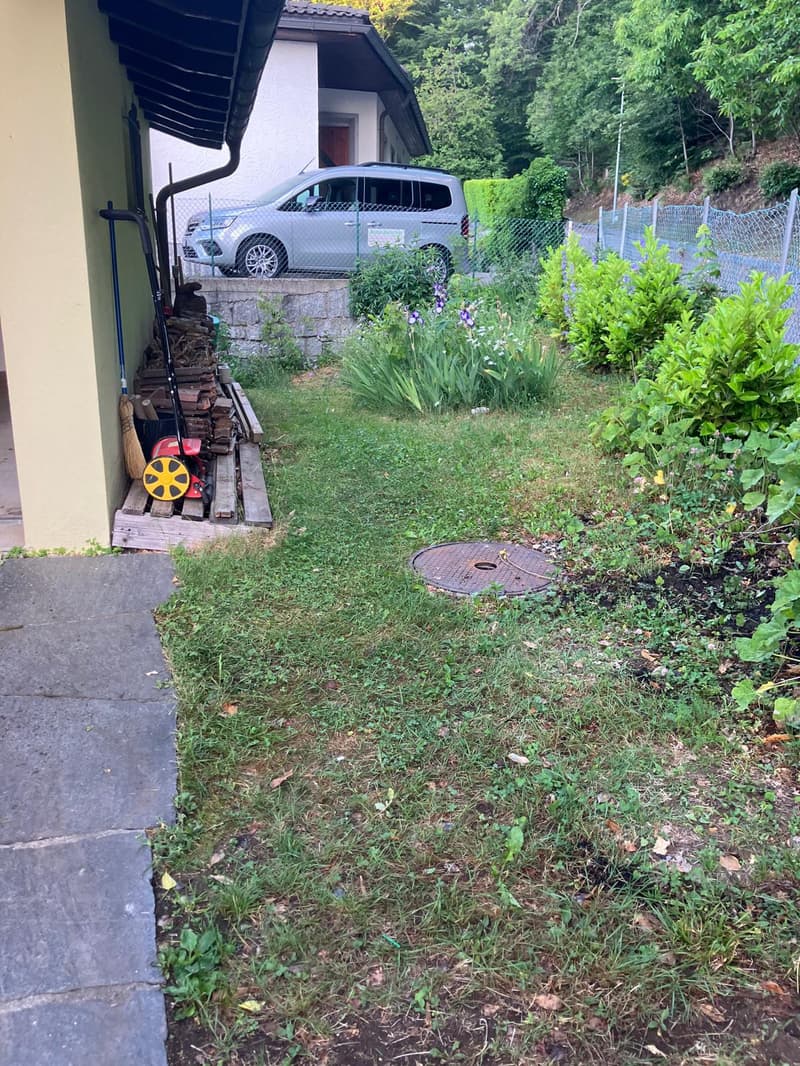 Affittasi casa di 2 appartamenti a Monte Brè (4)