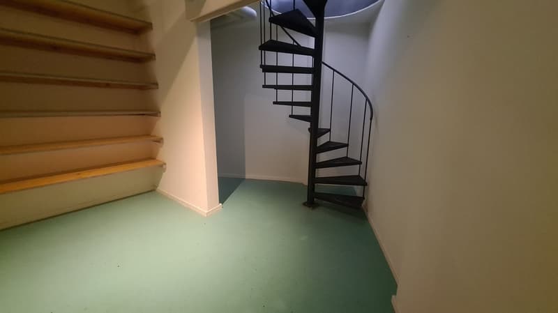 Locale commerciale a Minusio (7)
