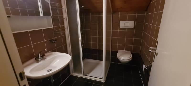 Affittasi mansarda 2 locali al Locarno (5)