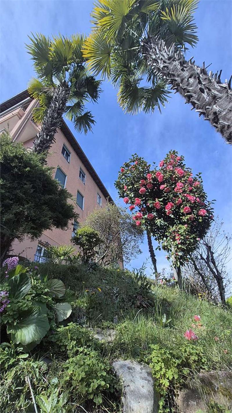 APPARTAMENTO 3.5 LOC VISTA LAGO (2)