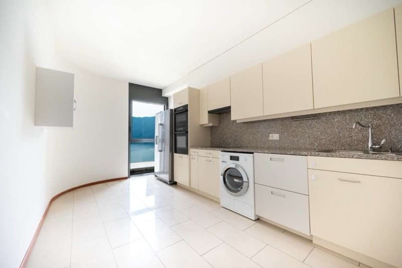 Prestigioso appartamento con vista lago (11)