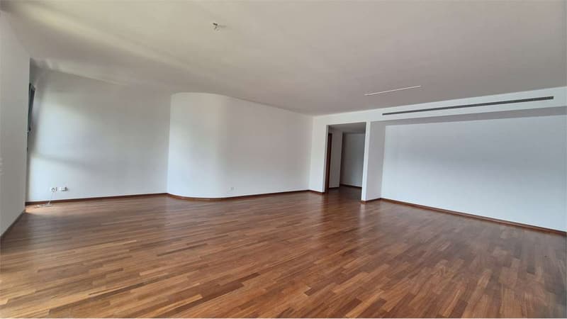 Prestigioso appartamento con vista lago (4)