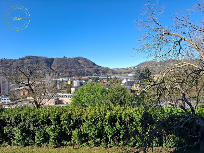 APPARTAMENTO 4.5 LOCALI IN MEZZO AL VERDE (13)