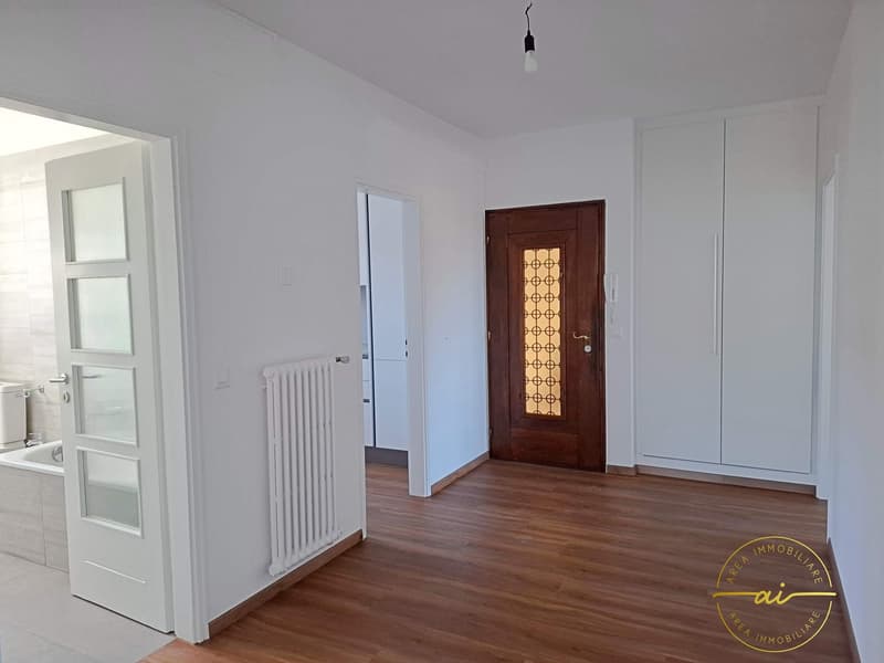 APPARTAMENTO 4.5 LOCALI IN MEZZO AL VERDE (3)