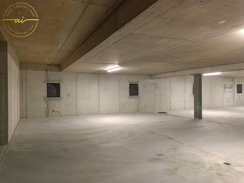 APPARTAMENTO DI 3.5 LOCALI AL SECONDO PIANO NELLA NUOVA RESIDENZA REGINA (10)