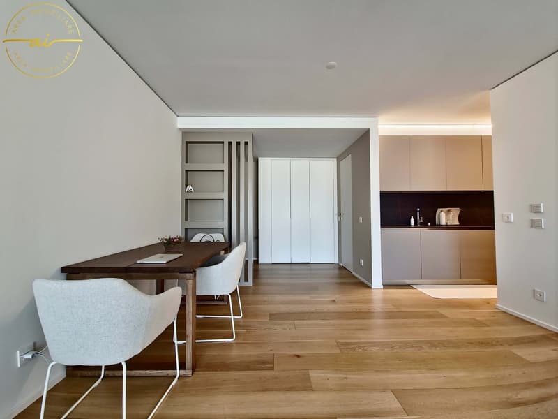 ELEGANTE APPARTAMENTO 3.5 LOCALI CON TERRAZZA E VISTA LAGO PARZIALE A PARADISO (5)