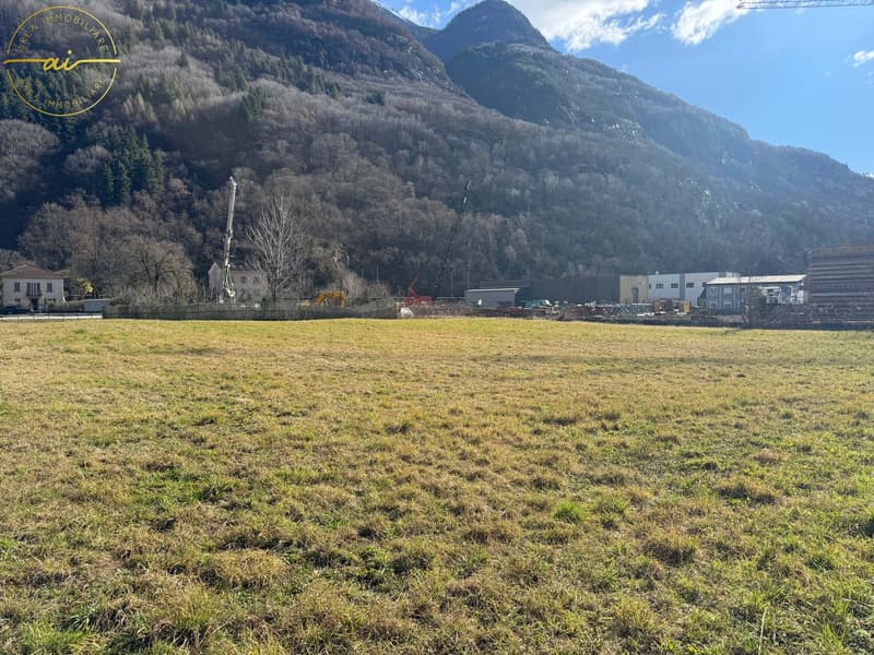 TERRENO EDIFICABILE IN MEZZO AL VERDE AD OSOGNA (4)
